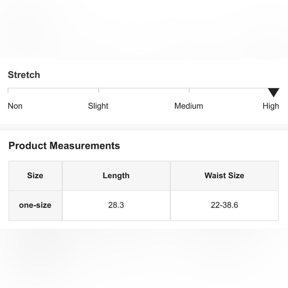 NWT Sheer Mesh Suspender Pantyhose    - Picture 6 of 6